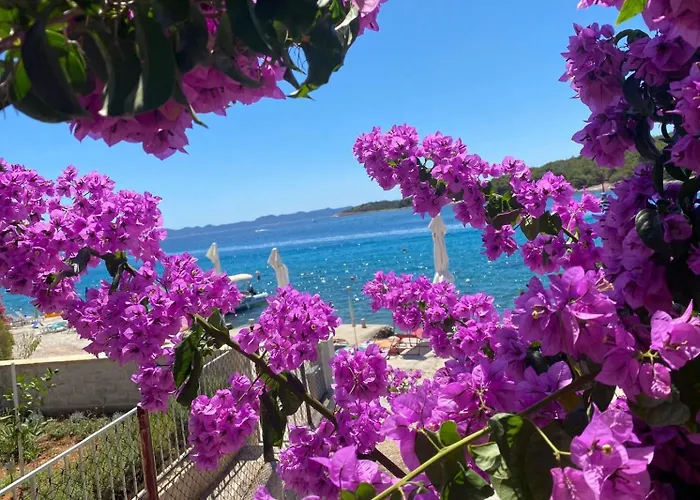 Zdrelac Guest House 펜션 *