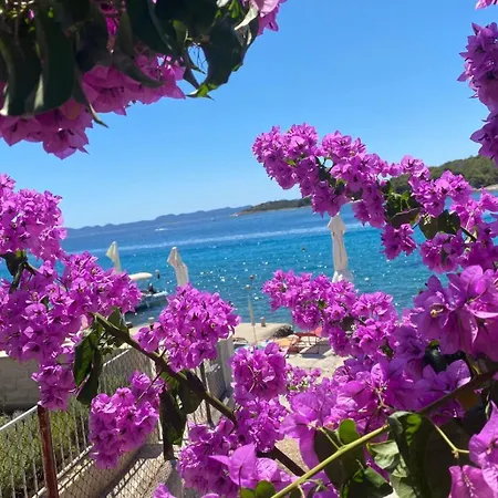 Zdrelac Guest House Casa vacanze *